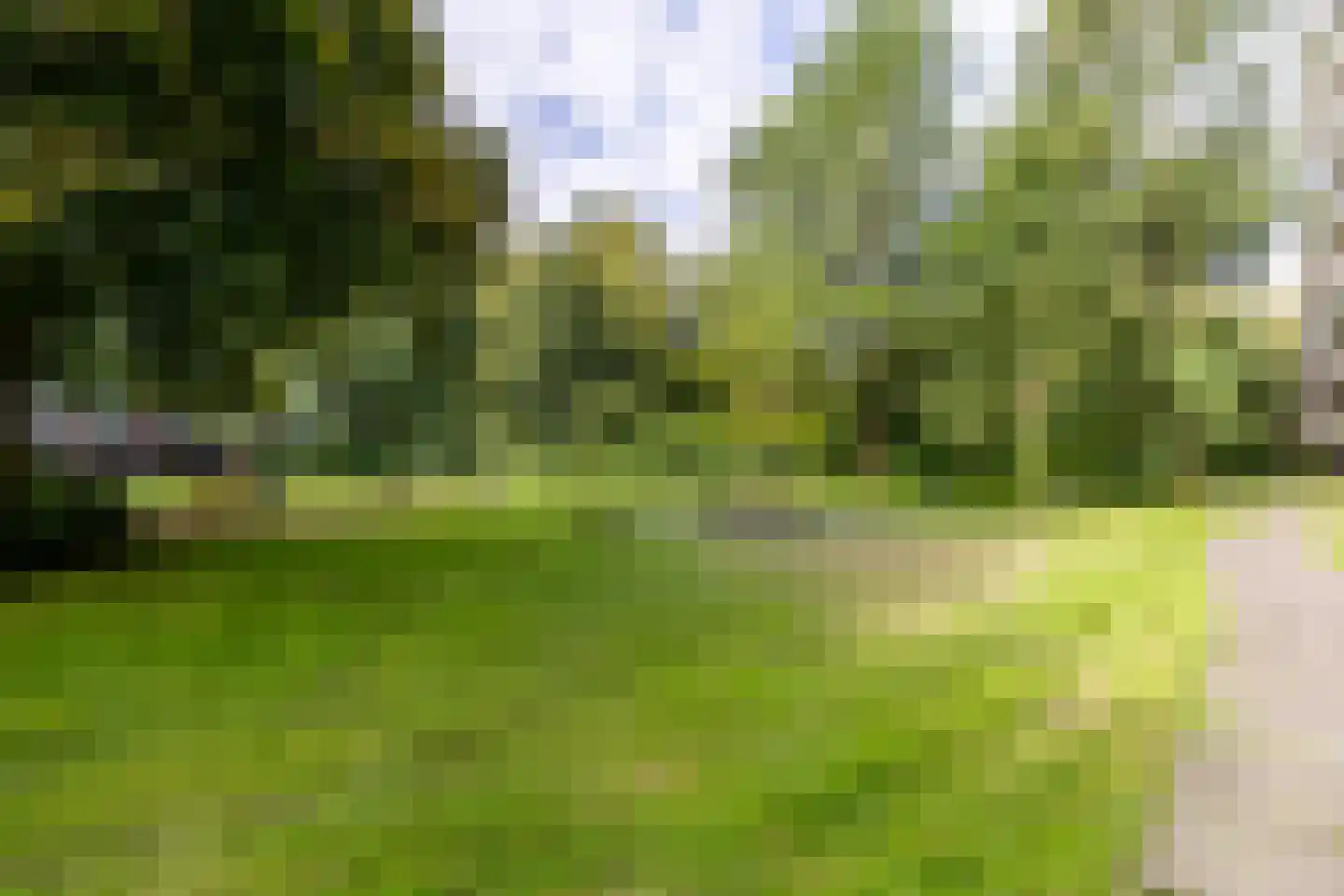 Oostervenne 314 Purmerend thumbnail 45