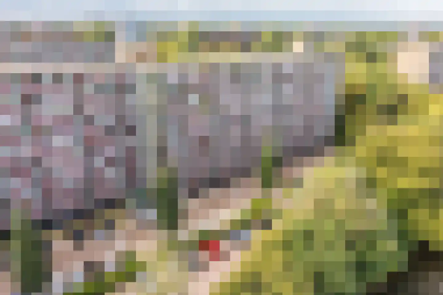 Oostervenne 314 Purmerend thumbnail 50