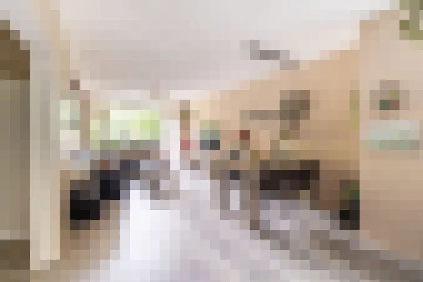 Oostervenne 314 Purmerend thumbnail 7