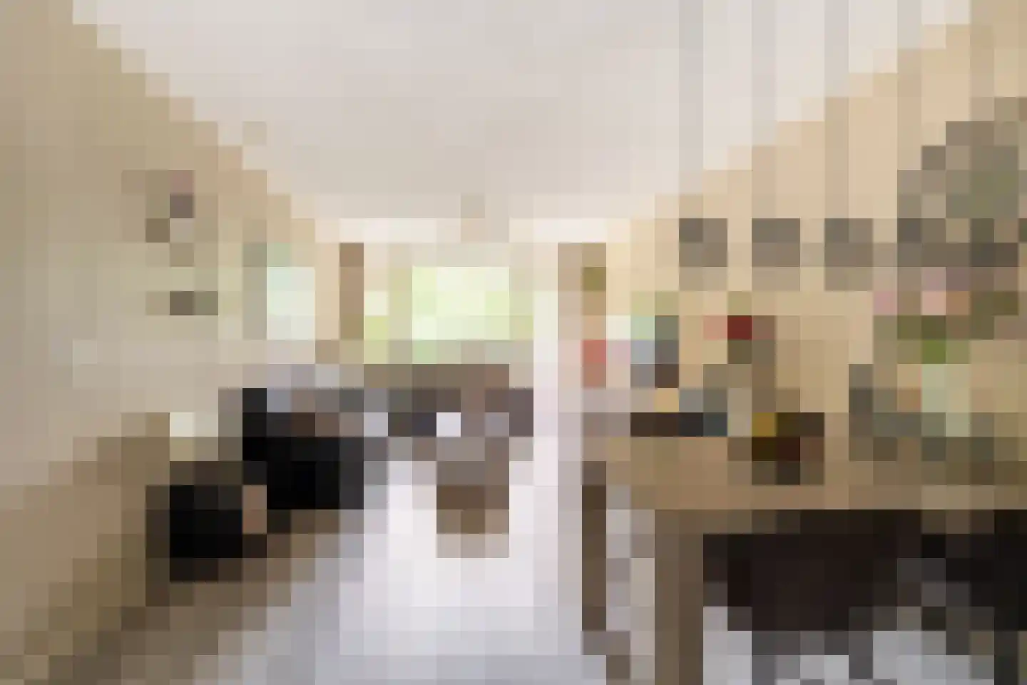 Oostervenne 314 Purmerend thumbnail 8