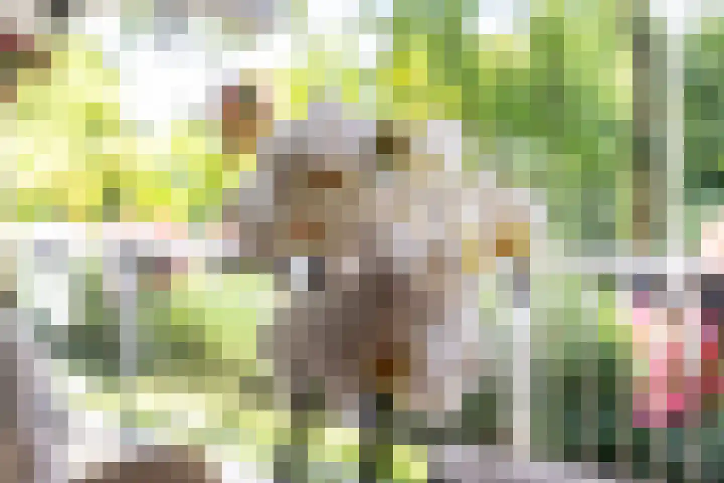 Oostervenne 314 Purmerend thumbnail 9