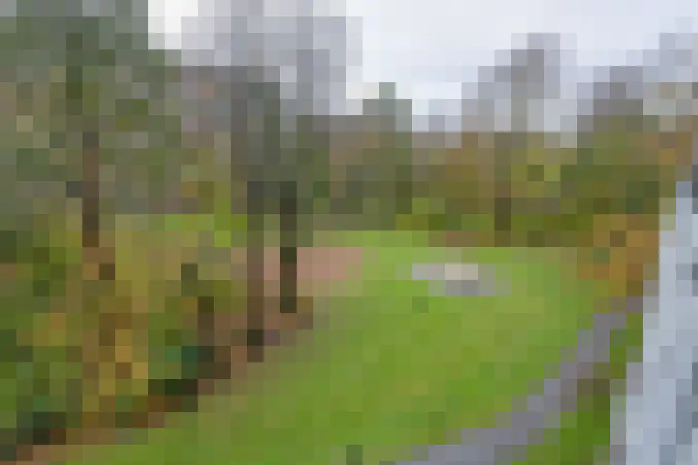 Oostervenne 329 Purmerend thumbnail 31