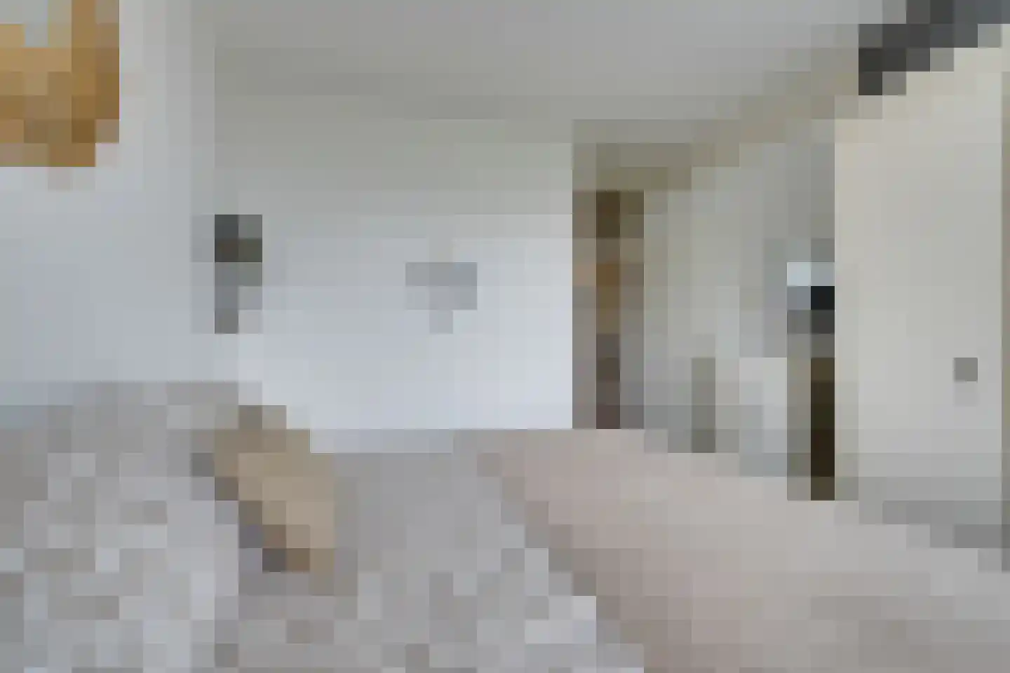 Oostervenne 329 Purmerend thumbnail 35