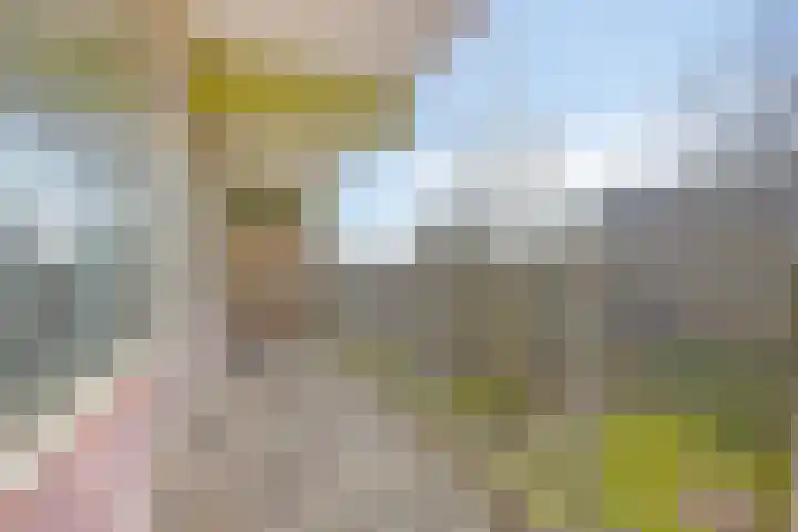 Oostervenne 352 Purmerend thumbnail 36