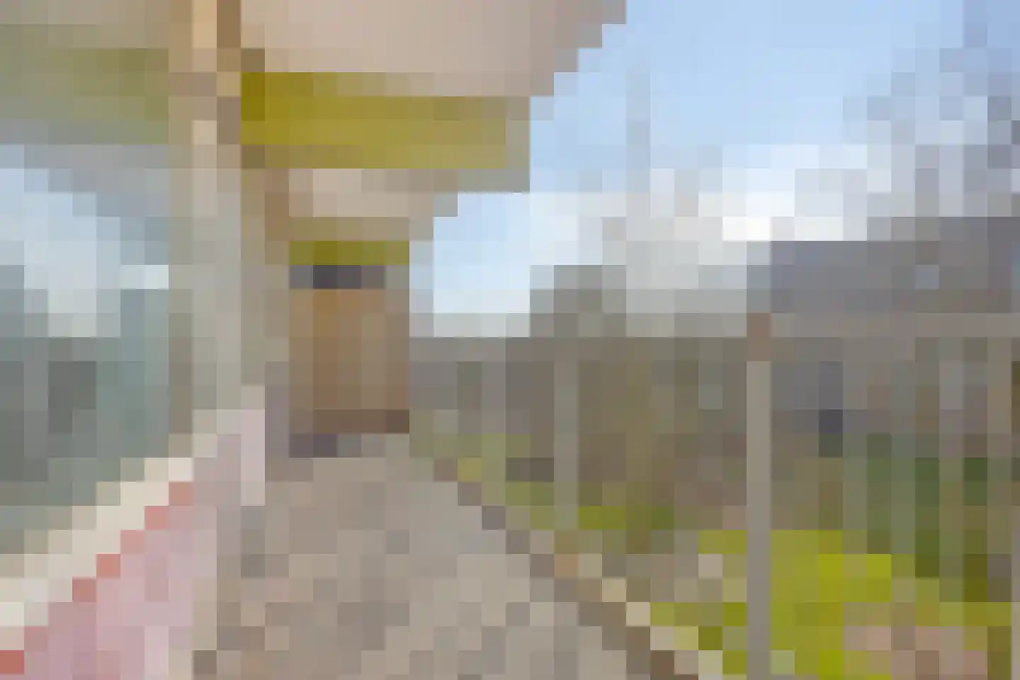 Oostervenne 352 Purmerend thumbnail 39