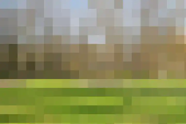 Oostervenne 352 Purmerend thumbnail 41