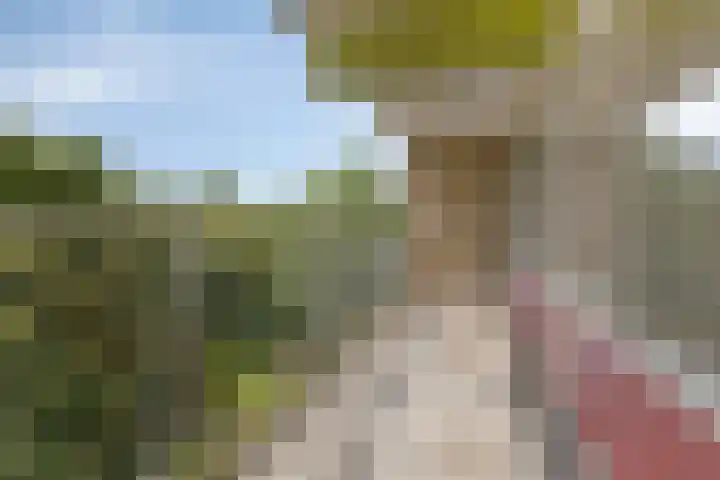 Oostervenne 357 Purmerend thumbnail 30