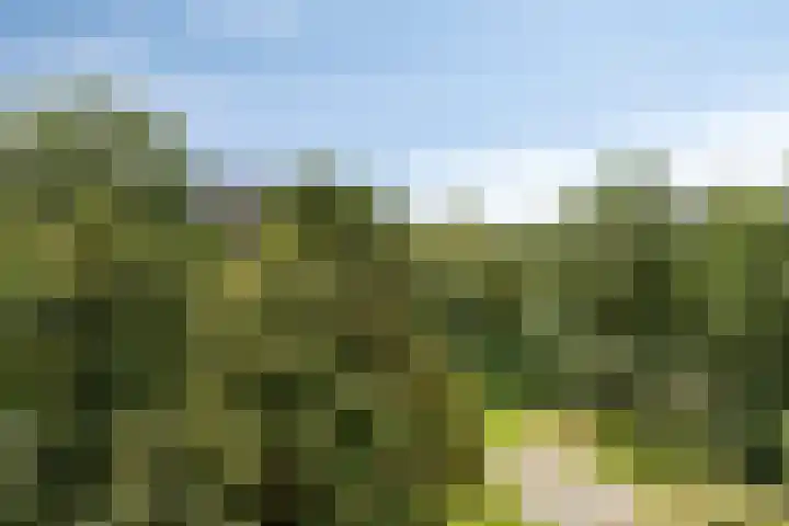 Oostervenne 357 Purmerend thumbnail 32
