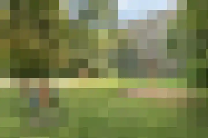 Oostervenne 357 Purmerend thumbnail 37