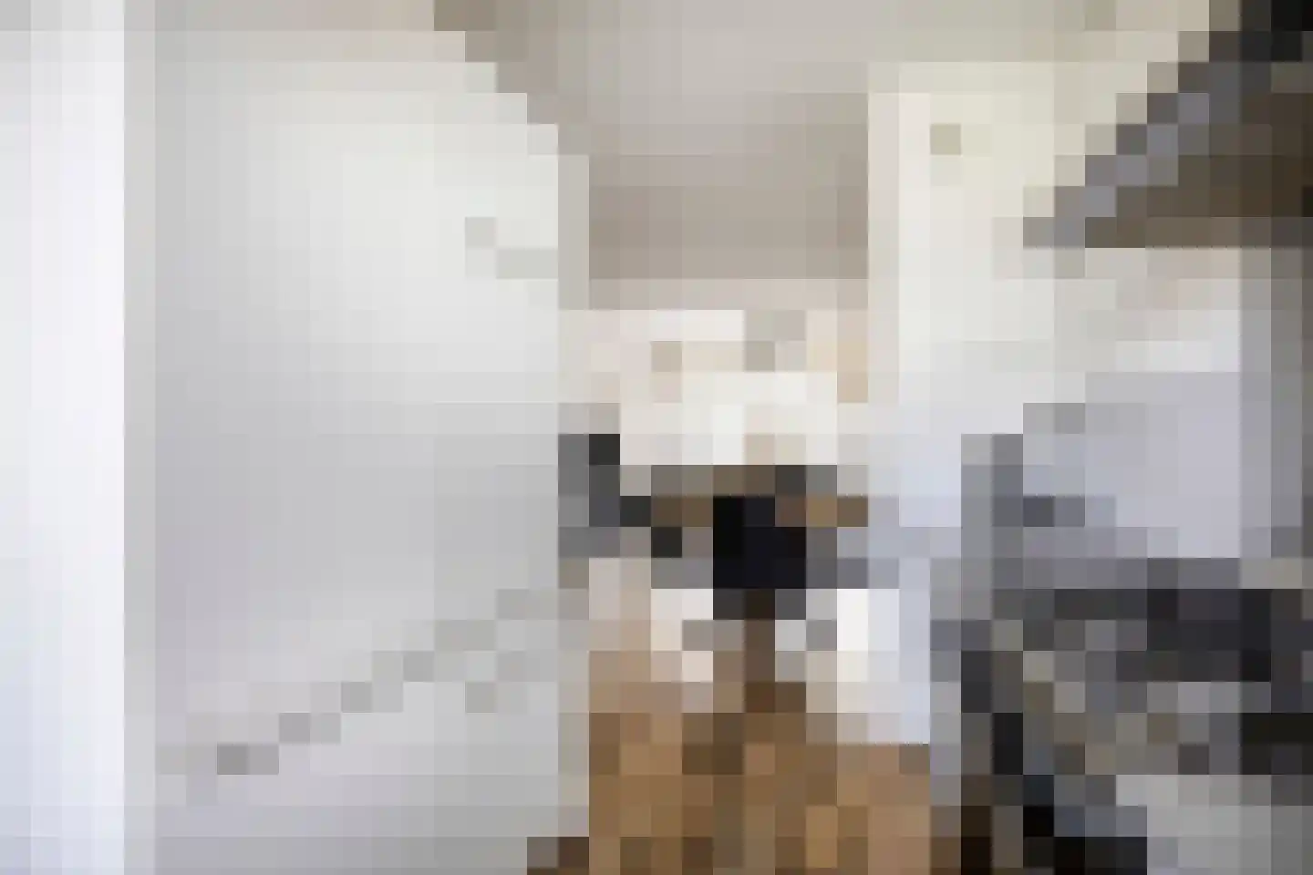 Oostervenne 360 Purmerend thumbnail 21