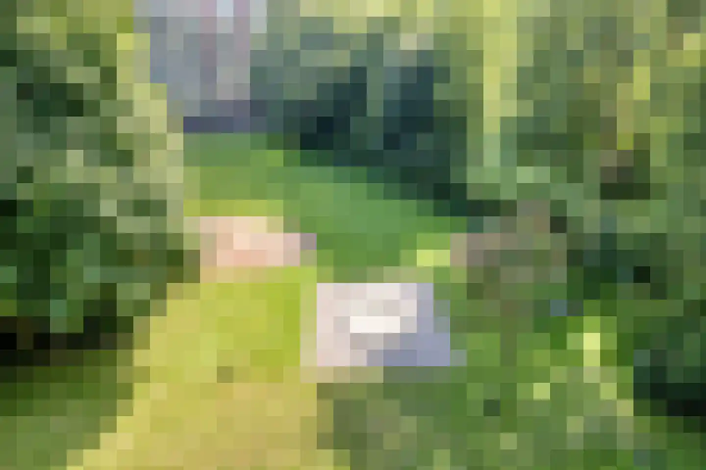 Oostervenne 360 Purmerend thumbnail 33