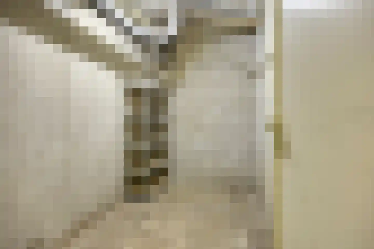 Oostervenne 364 Purmerend thumbnail 32