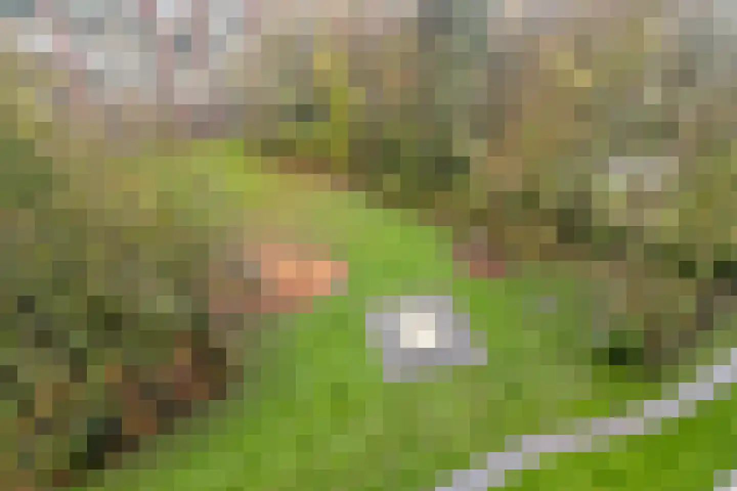 Oostervenne 366 Purmerend thumbnail 28
