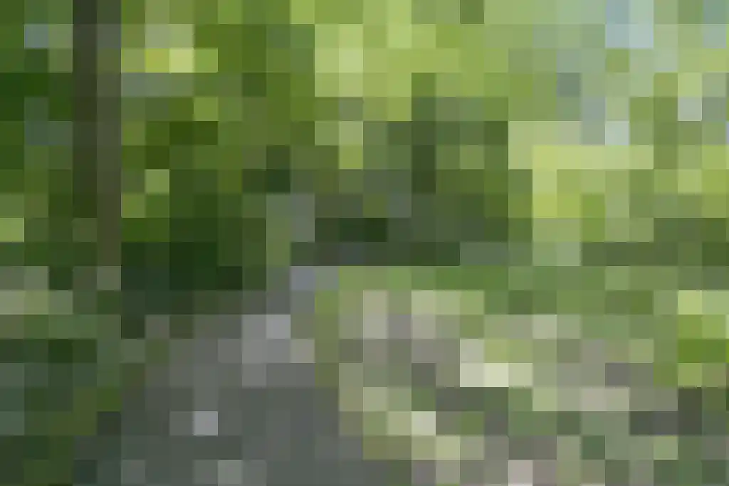 Oostervenne 384 Purmerend thumbnail 31