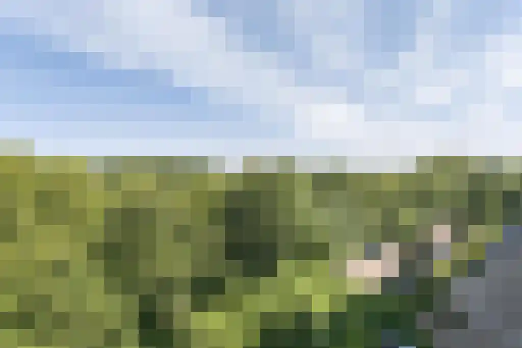 Oostervenne 384 Purmerend thumbnail 32