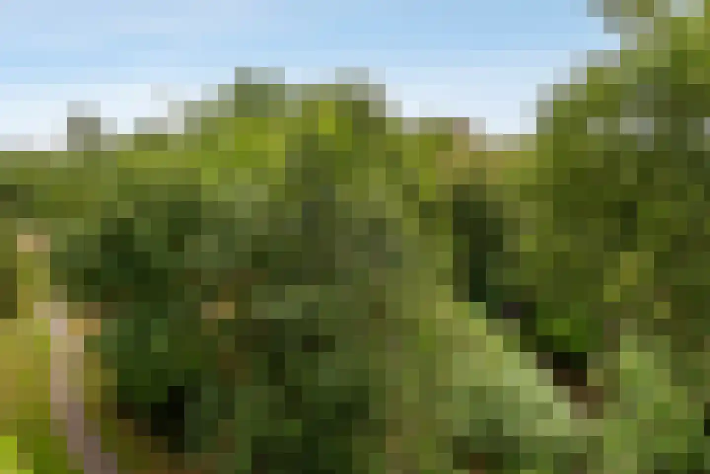 Oostervenne 384 Purmerend thumbnail 8