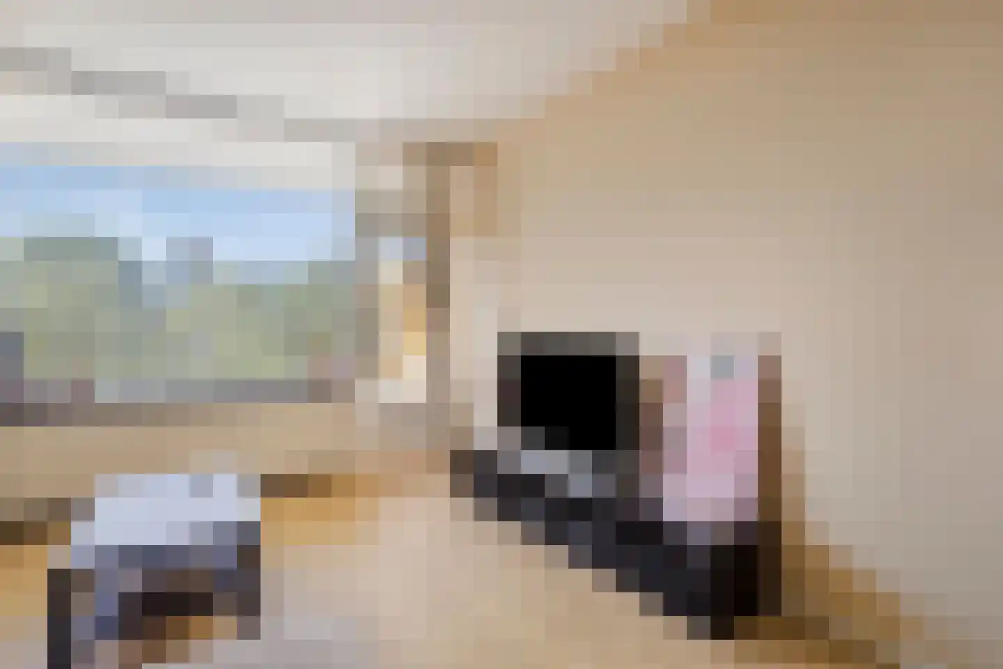 Oostervenne 391 Purmerend thumbnail 20