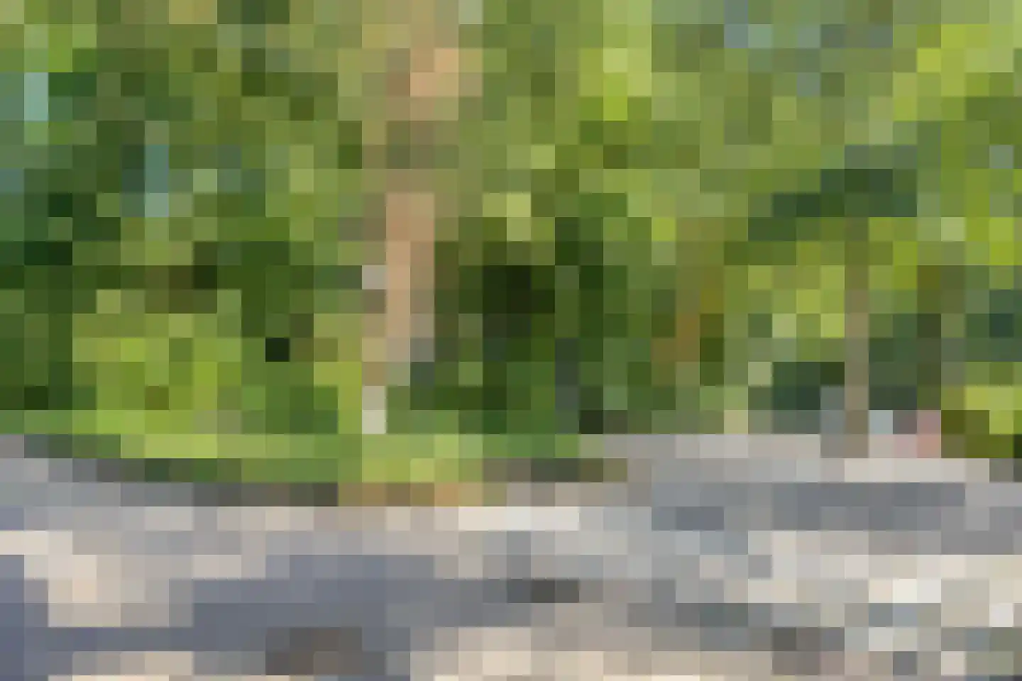 Oostervenne 391 Purmerend thumbnail 39