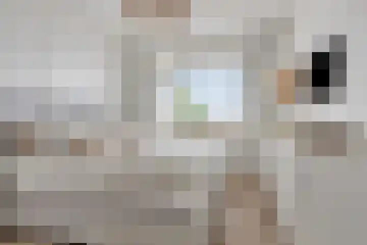 Oostervenne 425 Purmerend thumbnail 17