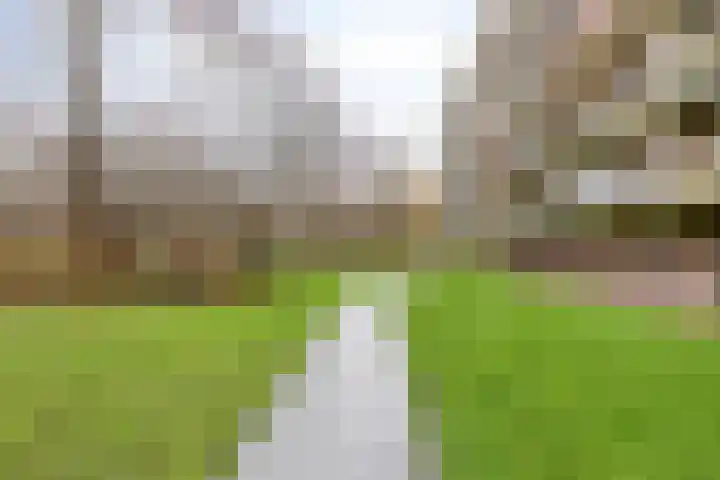 Oostervenne 425 Purmerend thumbnail 25