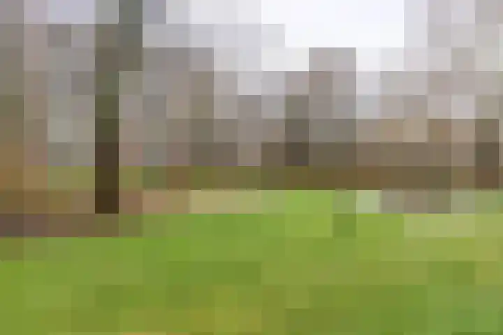 Oostervenne 425 Purmerend thumbnail 26