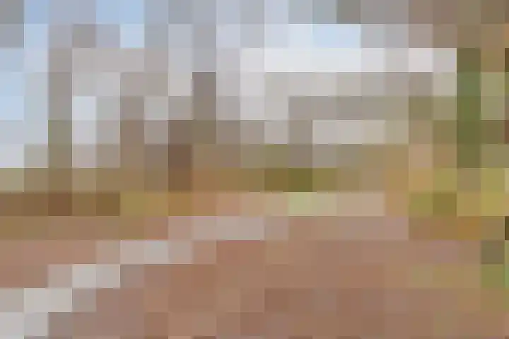 Oostervenne 425 Purmerend thumbnail 30