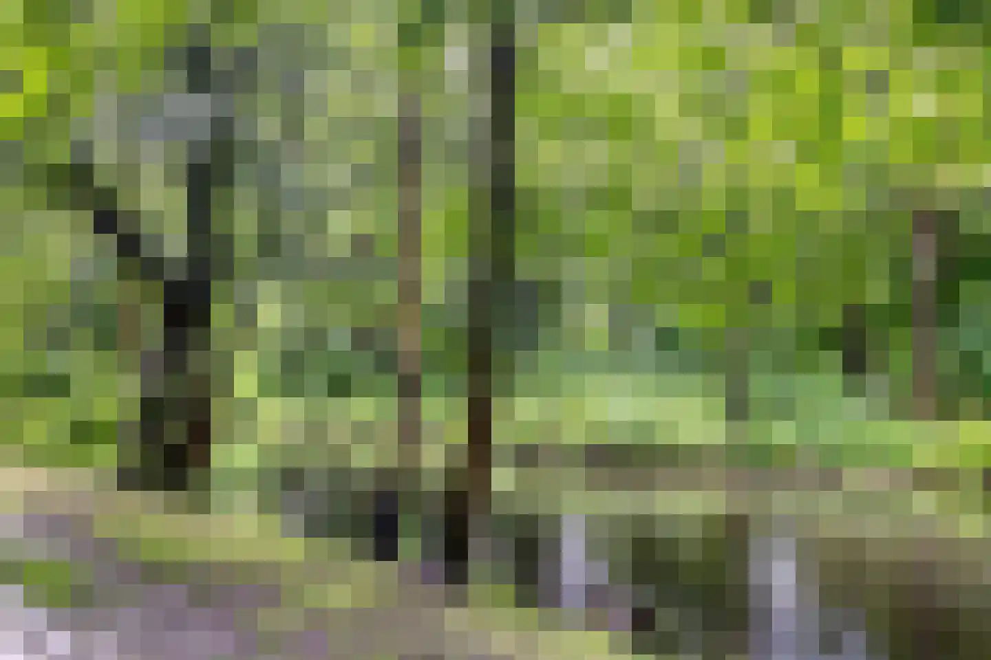 Oostervenne 426 Purmerend thumbnail 34