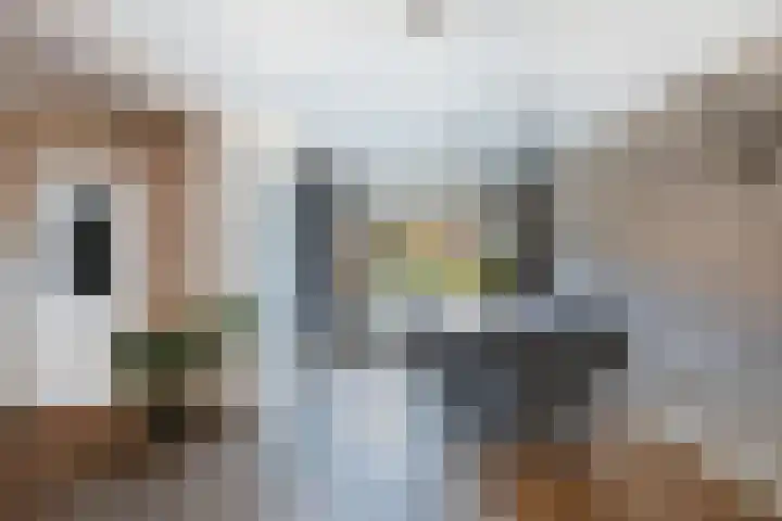 Oostervoor 9 Marknesse thumbnail 18
