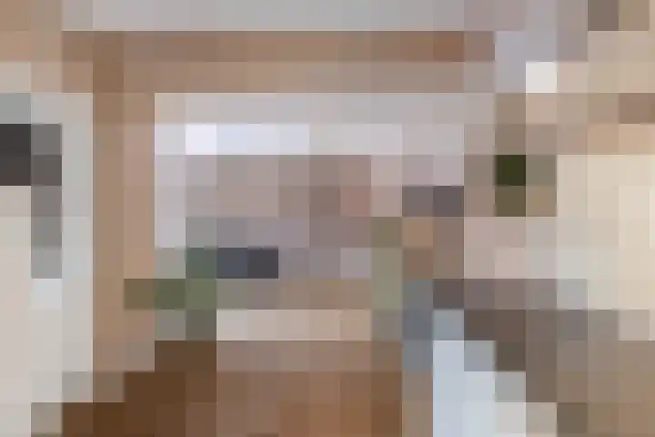 Oostervoor 9 Marknesse thumbnail 24