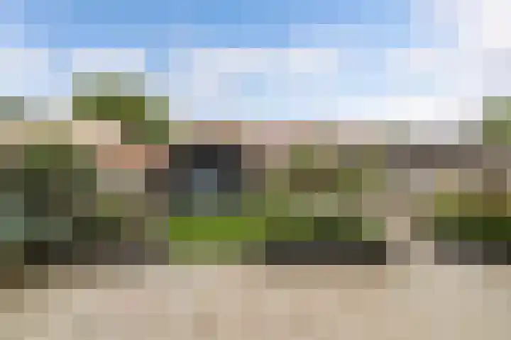 Oostervoor 9 Marknesse thumbnail 27