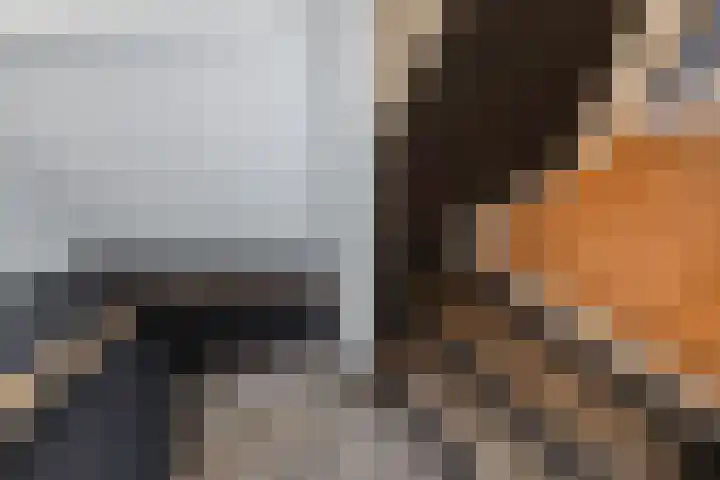 Oostervoor 9 Marknesse thumbnail 36