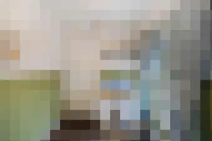 Oostervoor 9 Marknesse thumbnail 41