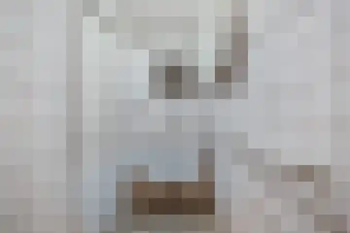 Oostervoor 9 Marknesse thumbnail 44