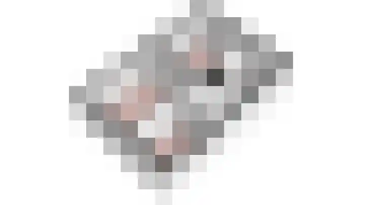 Oostervoor 9 Marknesse thumbnail 49