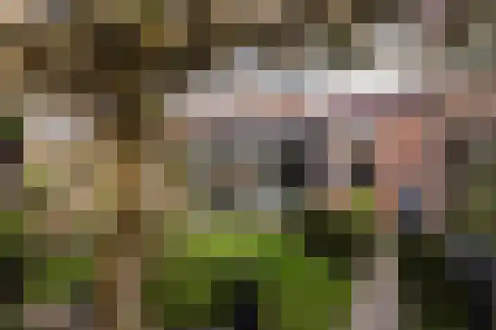 Oostervoort 53 Winterswijk thumbnail 34
