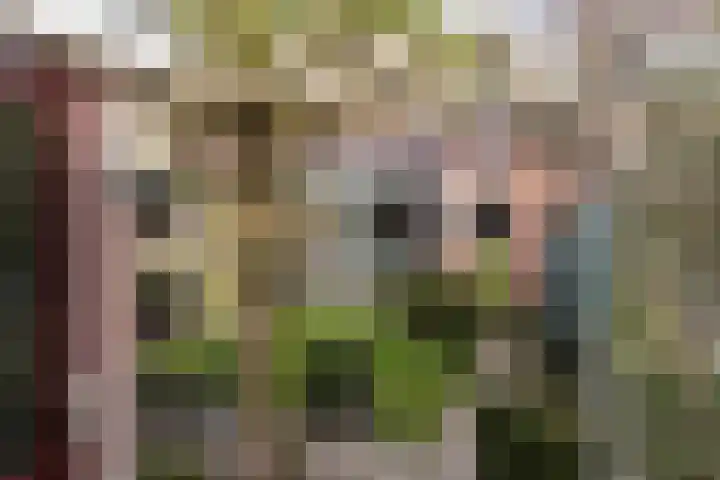 Oostervoort 53 Winterswijk thumbnail 35