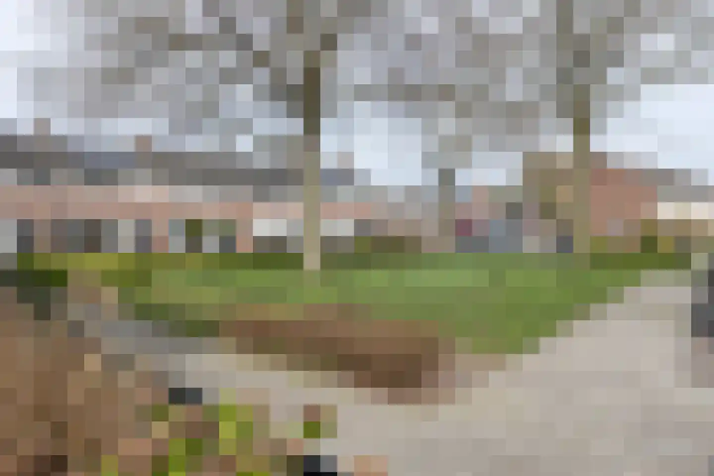 Oostervoort 53 Winterswijk thumbnail 44
