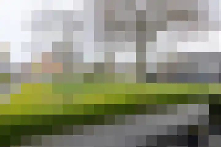 Oostervoort 53 Winterswijk thumbnail 45
