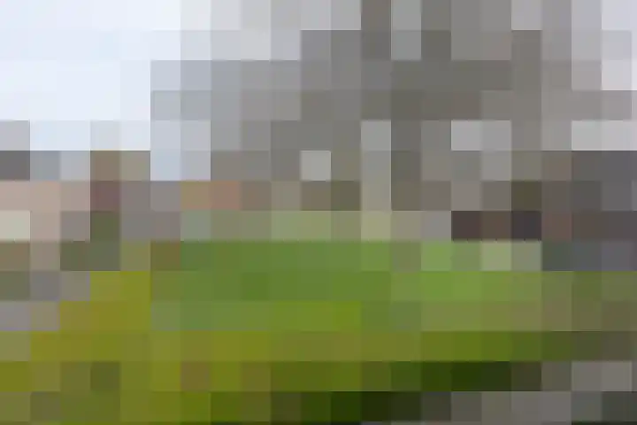 Oostervoort 53 Winterswijk thumbnail 46