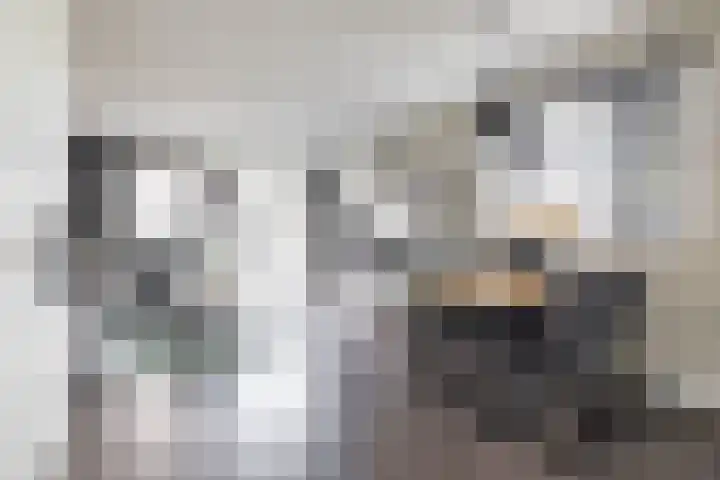 Oosterwal 10 Assen thumbnail 12