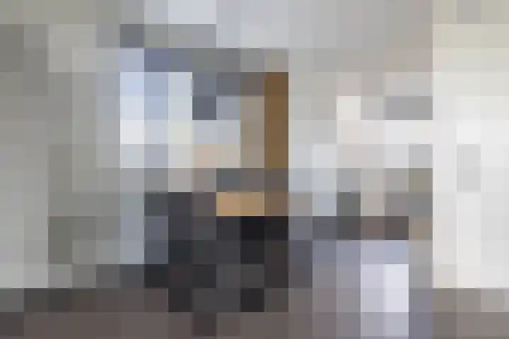 Oosterwal 10 Assen thumbnail 15