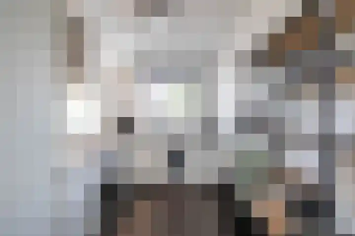 Oosterwal 10 Assen thumbnail 17