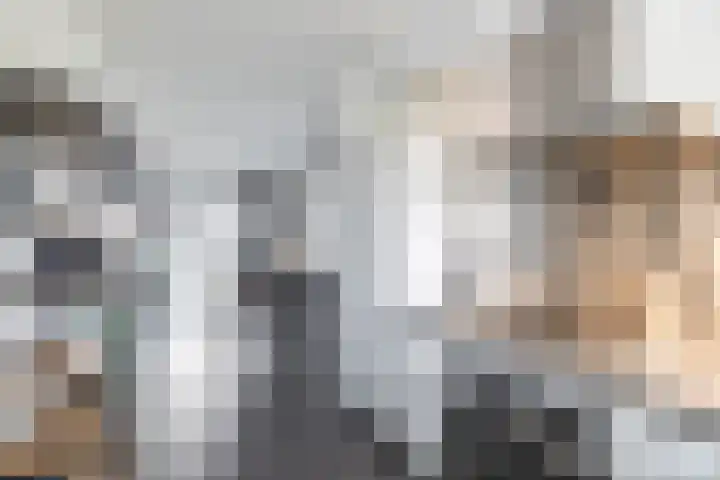 Oosterwal 10 Assen thumbnail 19