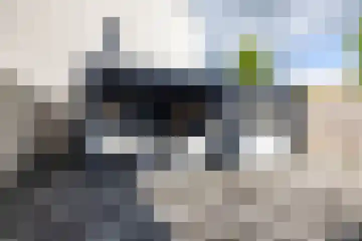 Oosterwal 10 Assen thumbnail 22