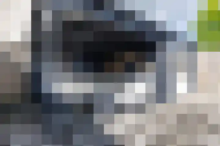 Oosterwal 10 Assen thumbnail 23