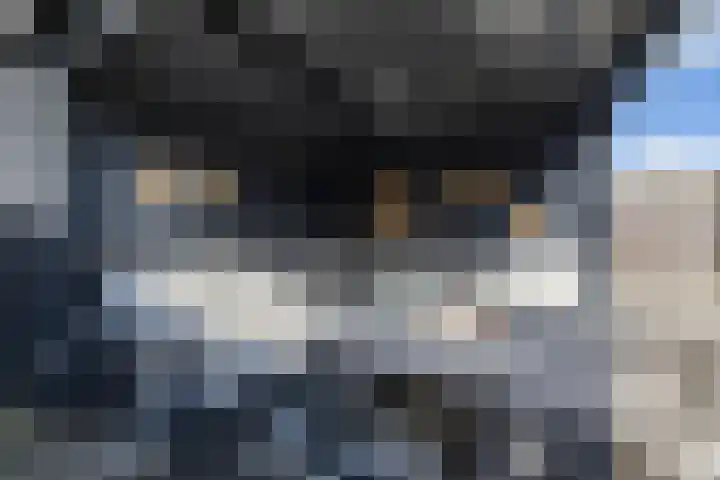 Oosterwal 10 Assen thumbnail 24