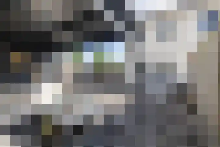 Oosterwal 10 Assen thumbnail 25