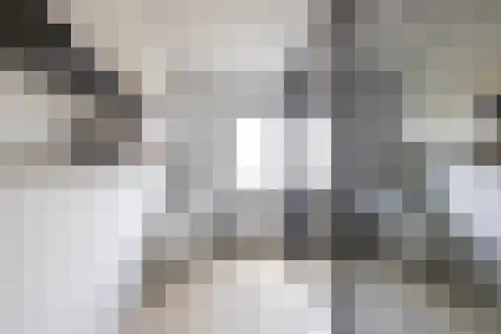 Oosterwal 10 Assen thumbnail 34