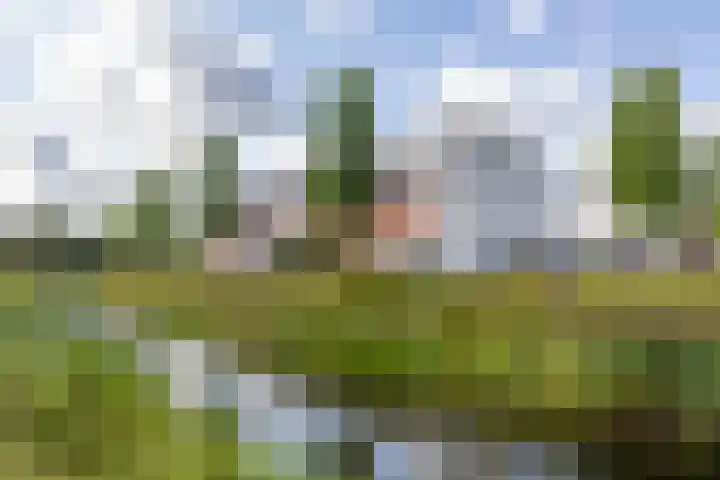 Oosterwal 10 Assen thumbnail 4