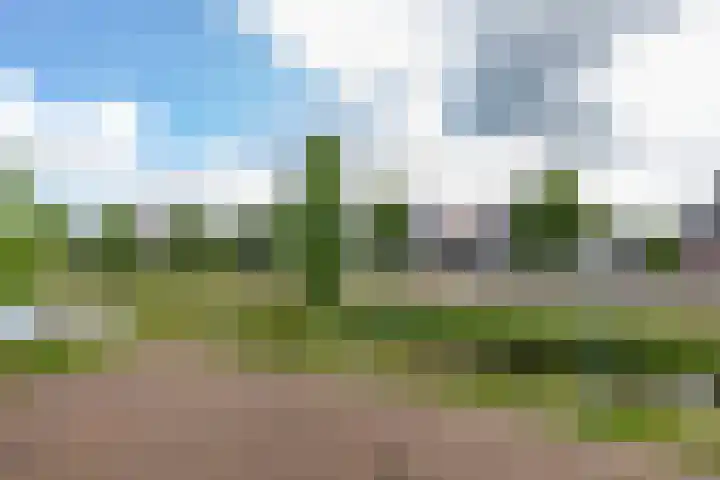 Oosterwal 10 Assen thumbnail 40